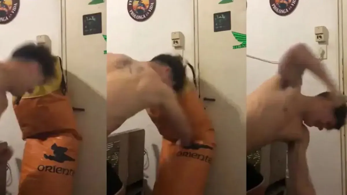 maximo-thomsen-pegandole-una-bolsa-boxmp4