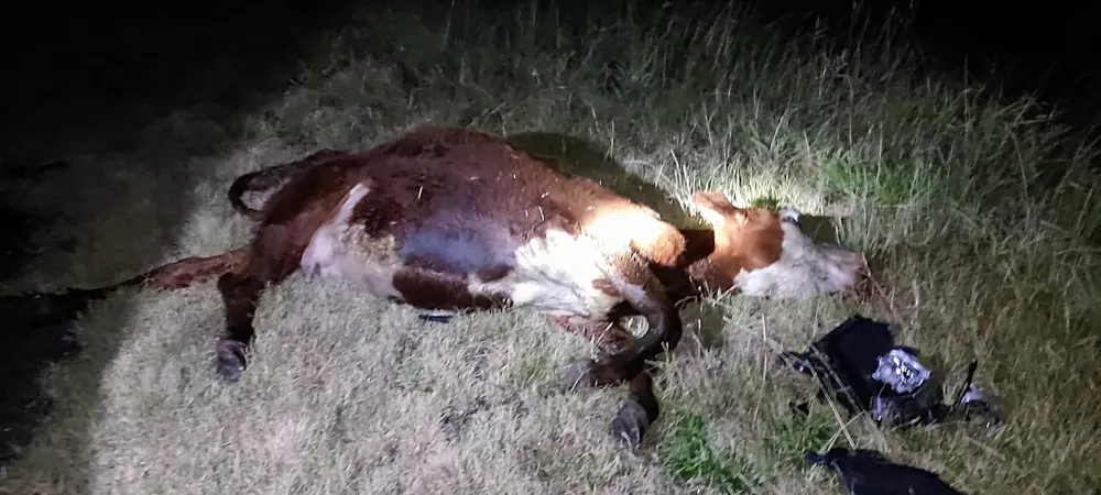 b94b121b-9f3c-424d-be80-6376f290c38c