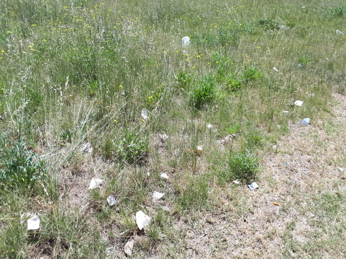 e91e5984-994f-400a-baae-53bf2abb4cd9 (1)