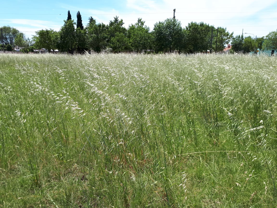 c817ff20-1c47-494b-aa01-b61c834099c9