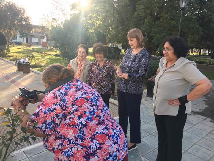 FB_IMG_1528122215515