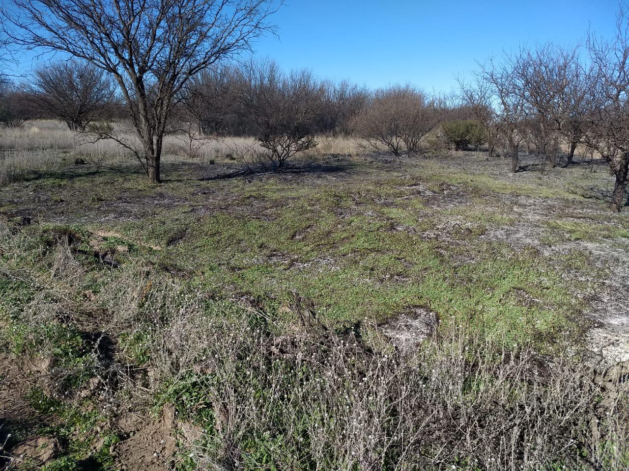 572ebf3f-ae5a-4dbf-a2bd-942206ffe6c4