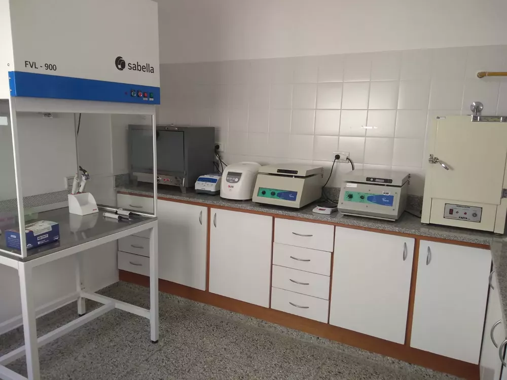 146381_whatsapp-image-2021-08-23-at-18.41.43--1-