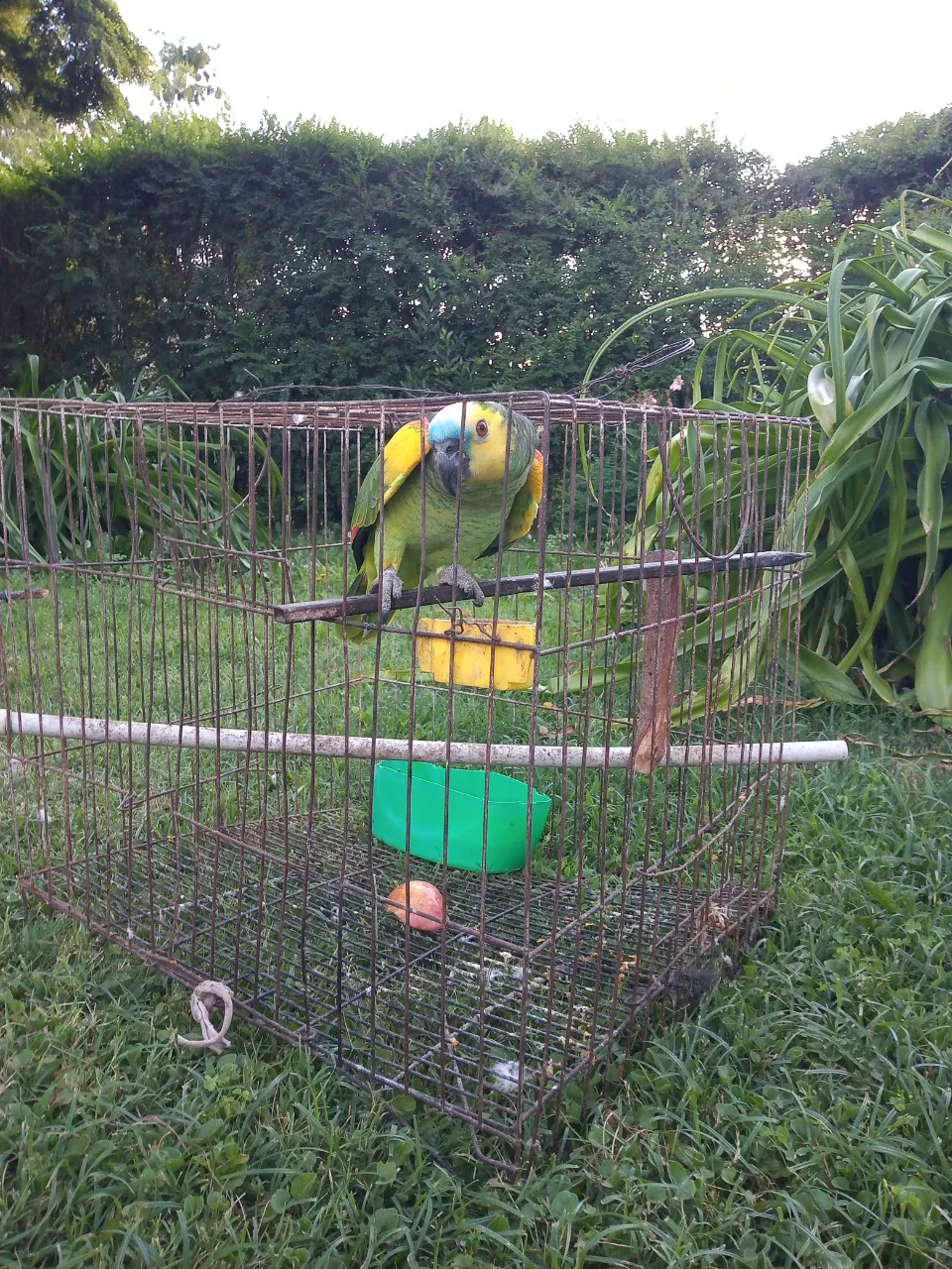 573932_whatsapp-image-2021-12-16-at-12.28.47