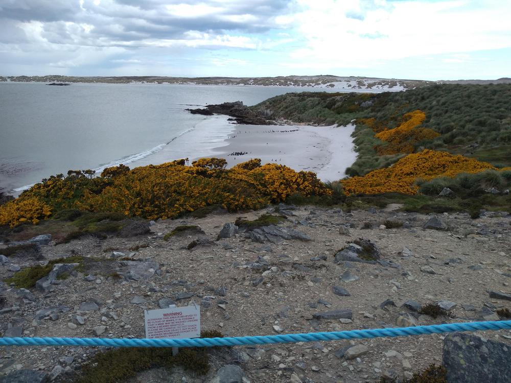 MALVINAS PLAYAS DESEMBARCO