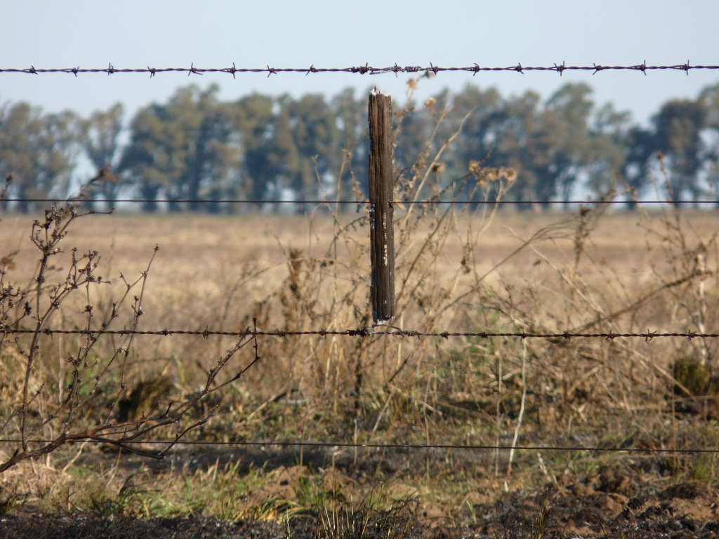 P1260986 (FILEminimizer)