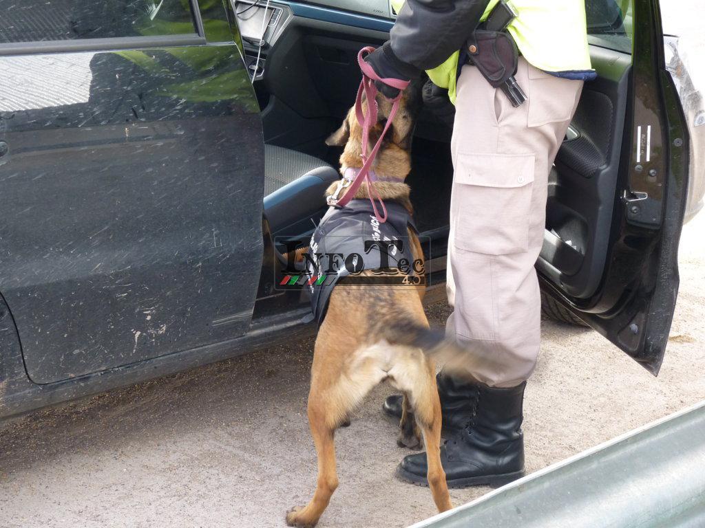 P1240517 (FILEminimizer)