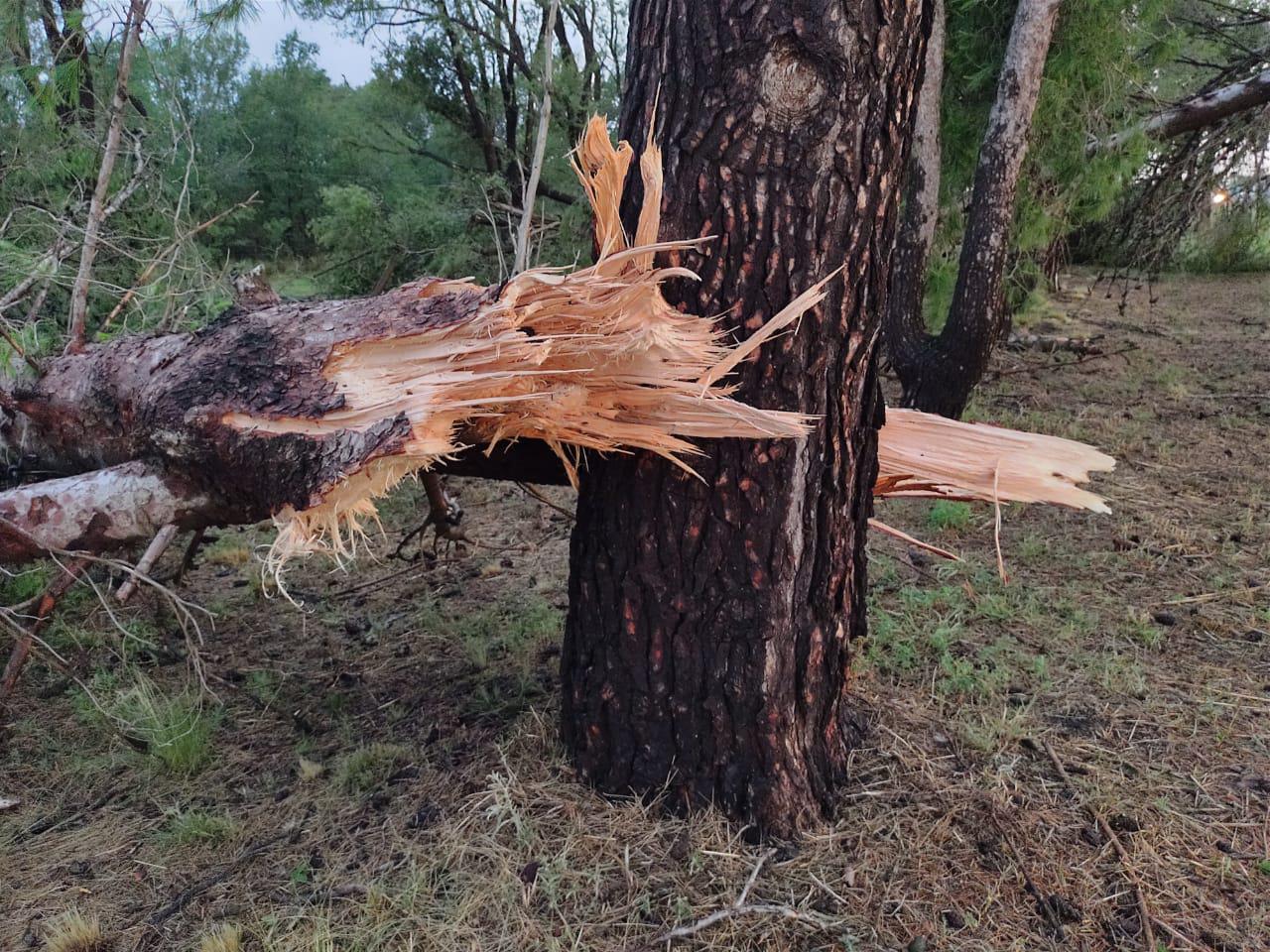 adcac515-f0ea-4de6-93ed-411382093a10