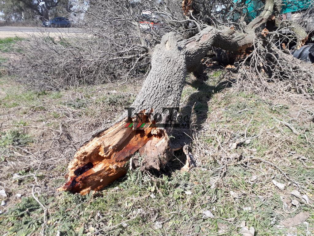 20180829_140735 (FILEminimizer)