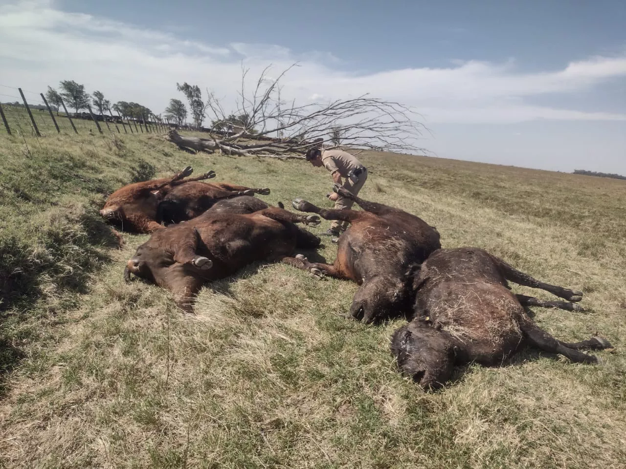 a3874821-14d3-4c78-bcb5-9d4281c218ce