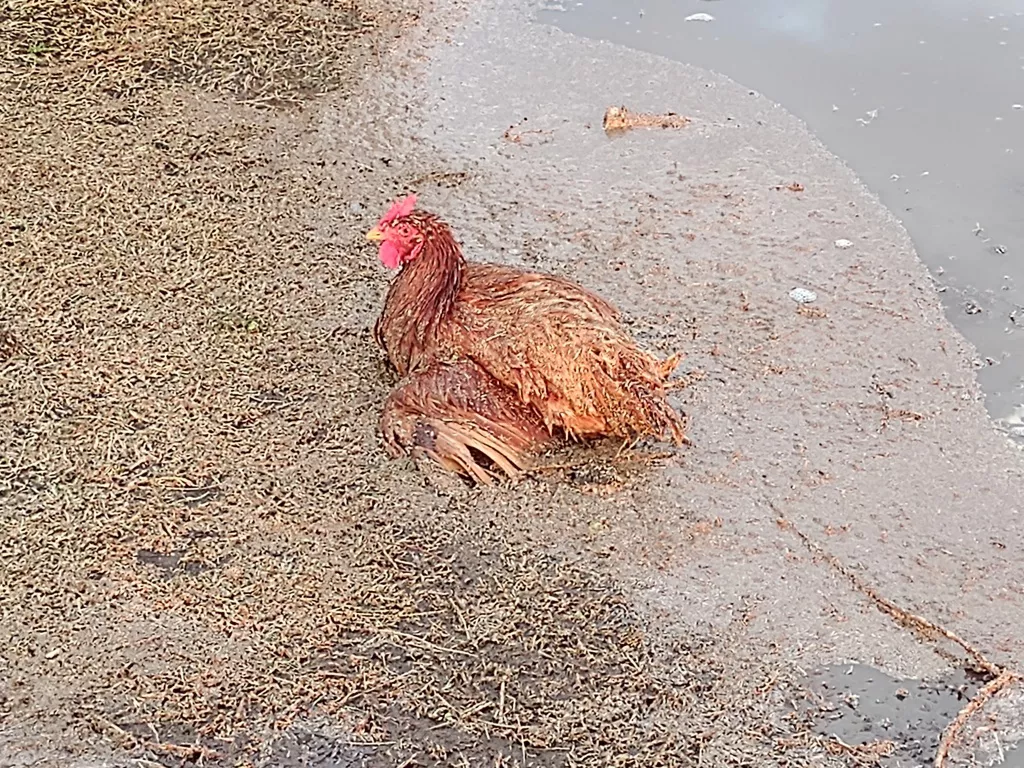 IMG_20210831_183228798 (FILEminimizer)