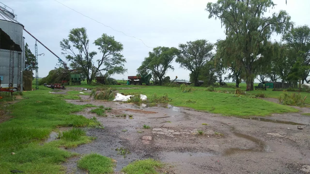 b0d1c9e8-643f-46fa-86a6-90b566ee939c