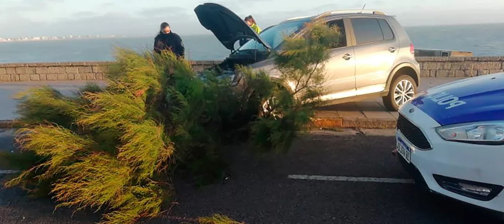 DZZMYX5IHNG4VDIOMP43QI2QN4