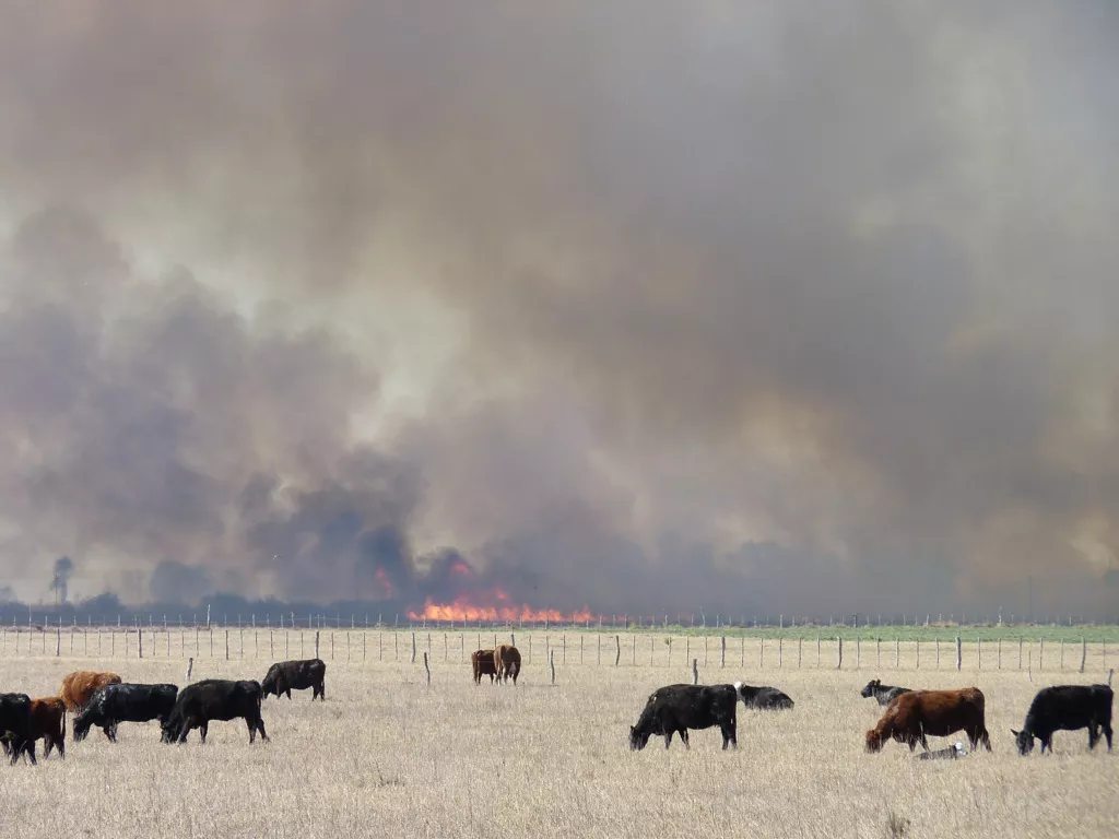 incendio camioneta 6 (FILEminimizer)