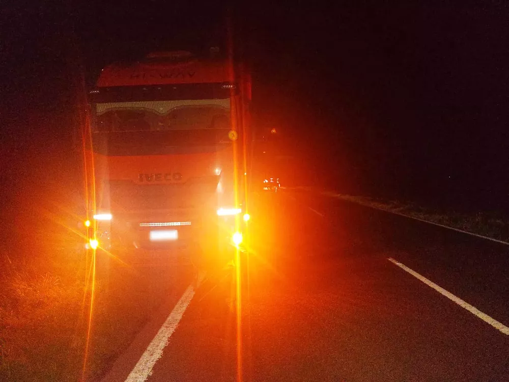 39f7d3ab-c399-40b2-83c2-61a519282240