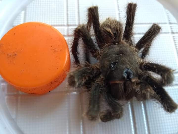 FB_IMG_1576935340372