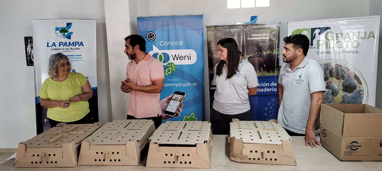 113208_whatsapp-image-2022-12-21-at-13.40.53