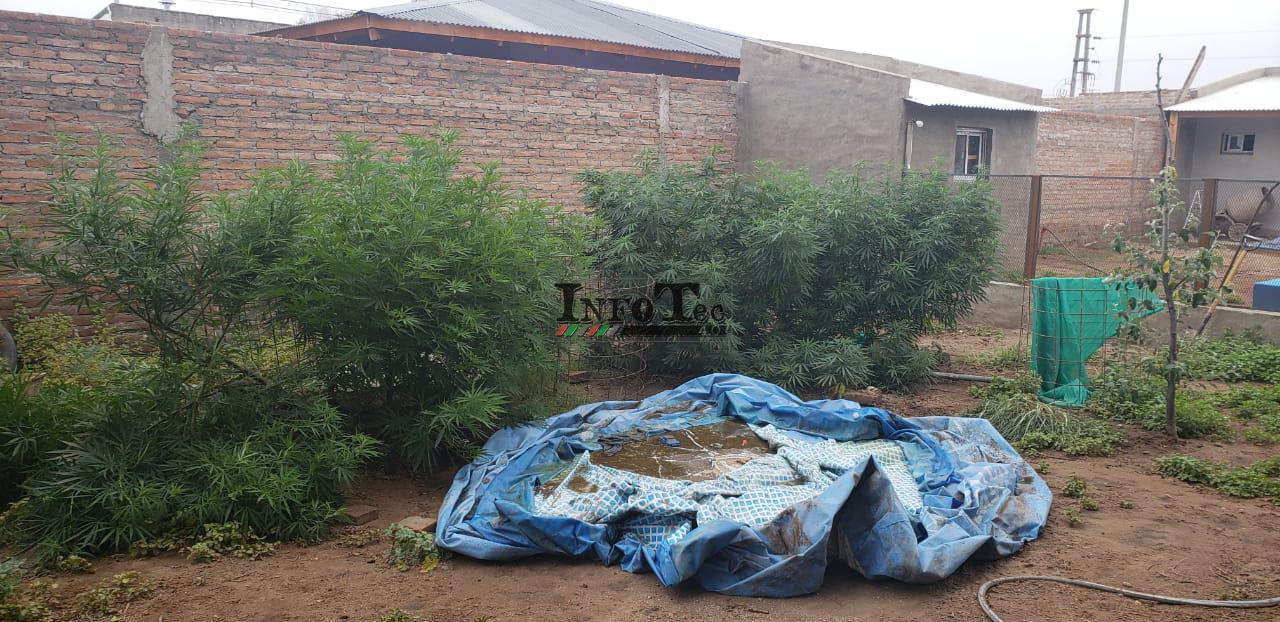 cfbb4a62-9ac8-4af0-9c47-72ddae757374