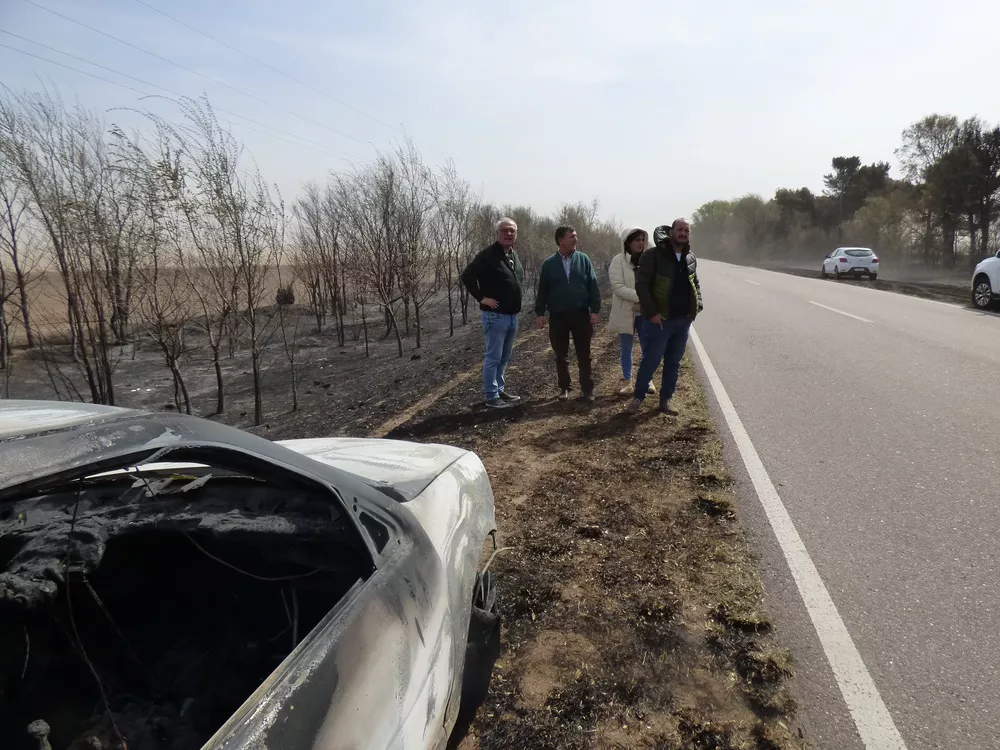 2994688_gobernador-07.-