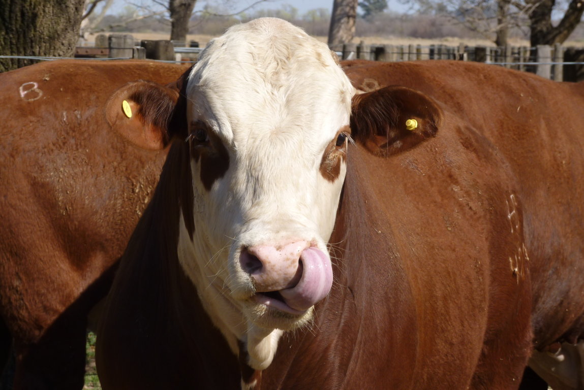 P1410689 (FILEminimizer)