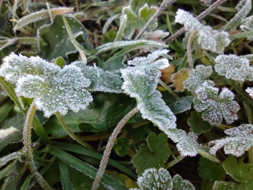 IMG_20210505_080643077