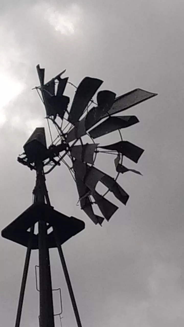 229050479_10159951430873896_684302005086739136_n