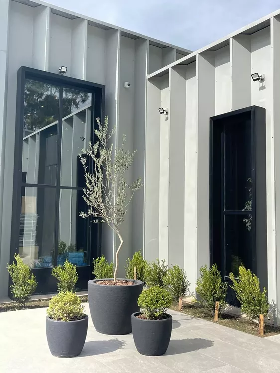 269351_whatsapp-image-2022-05-17-at-4.54.11-pm--1-