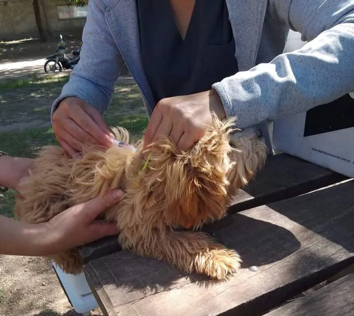 316280975_5988008444544111_7428619479735361285_n