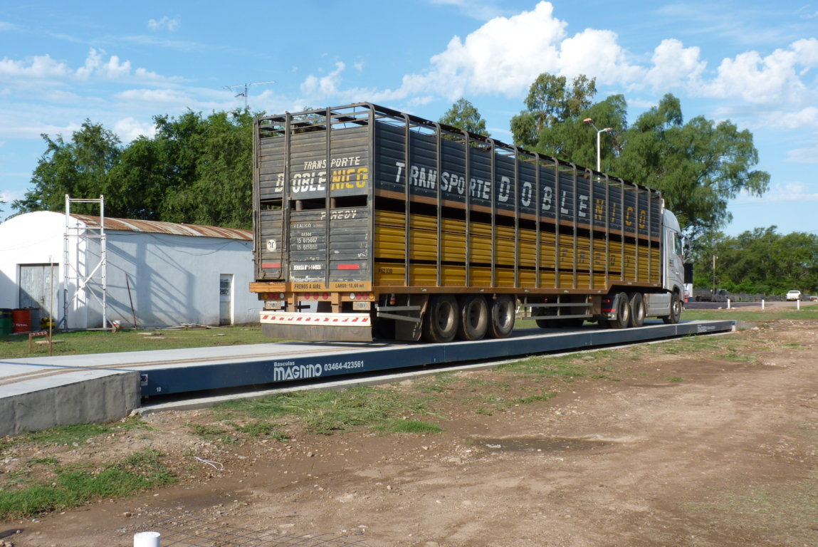 P1460592 (FILEminimizer)