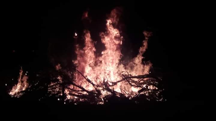 FB_IMG_1561856947714