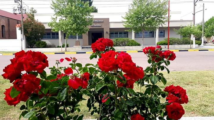 FB_IMG_1573260528180