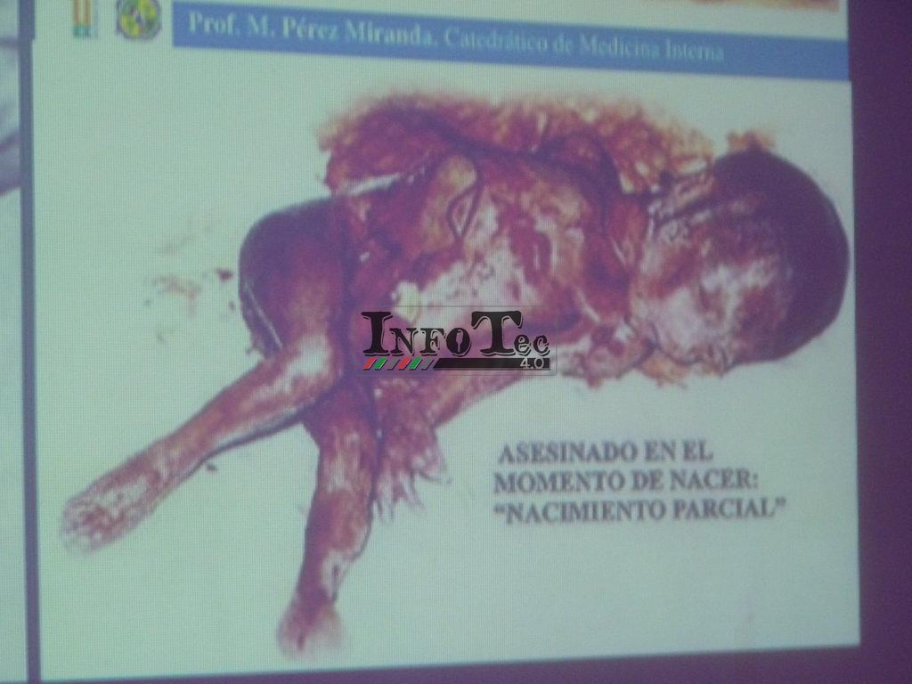 P1210416 (FILEminimizer)