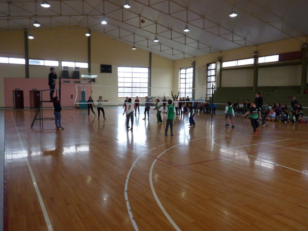 P1380002 (FILEminimizer)