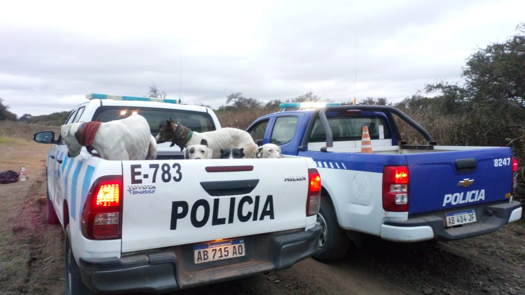 c16236aa-5ab0-4e20-af8b-04da5217d51c