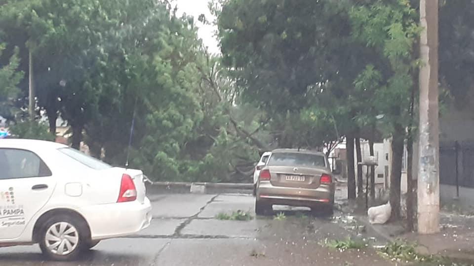 131958000_10224590450175800_3683404586671860589_n