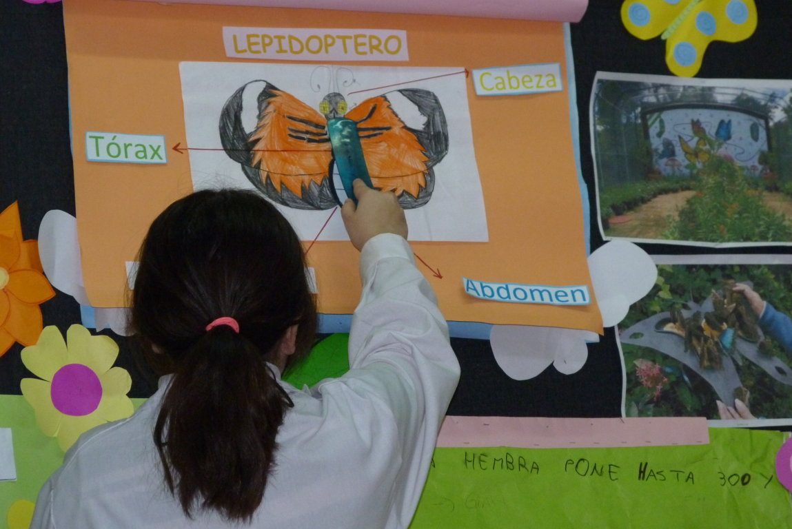 P1380733 (FILEminimizer)