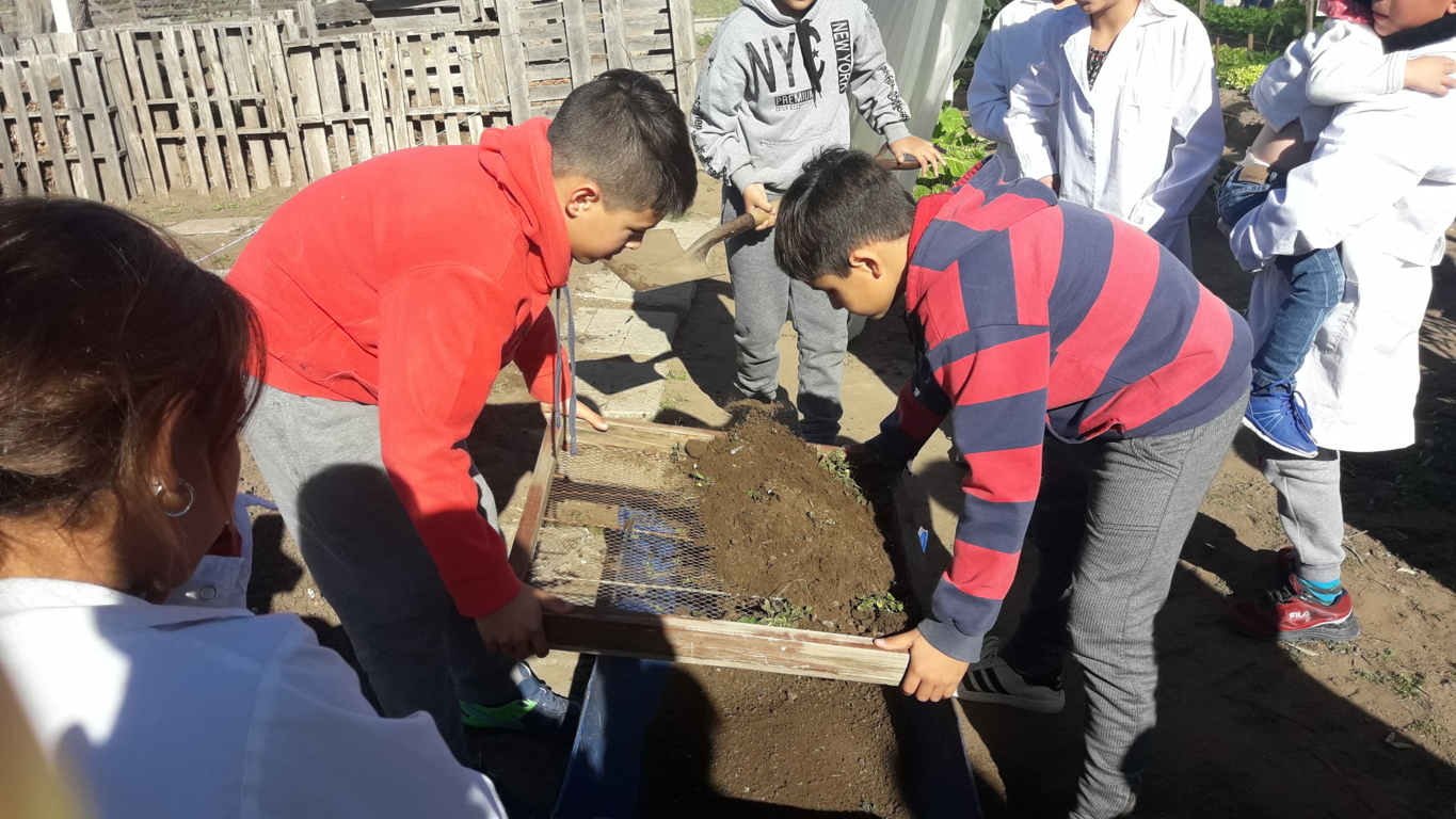 FERIA DE CIENCIAS 2019 030 (FILEminimizer)