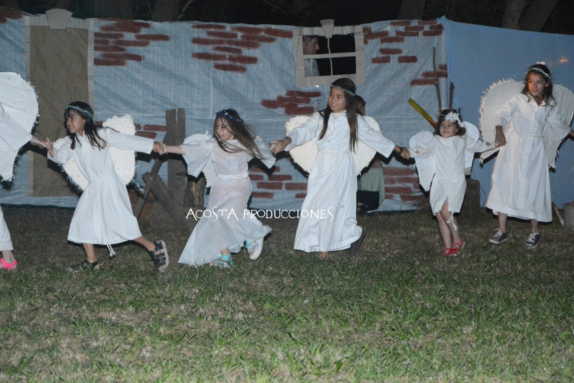 DSC_3539 (FILEminimizer)