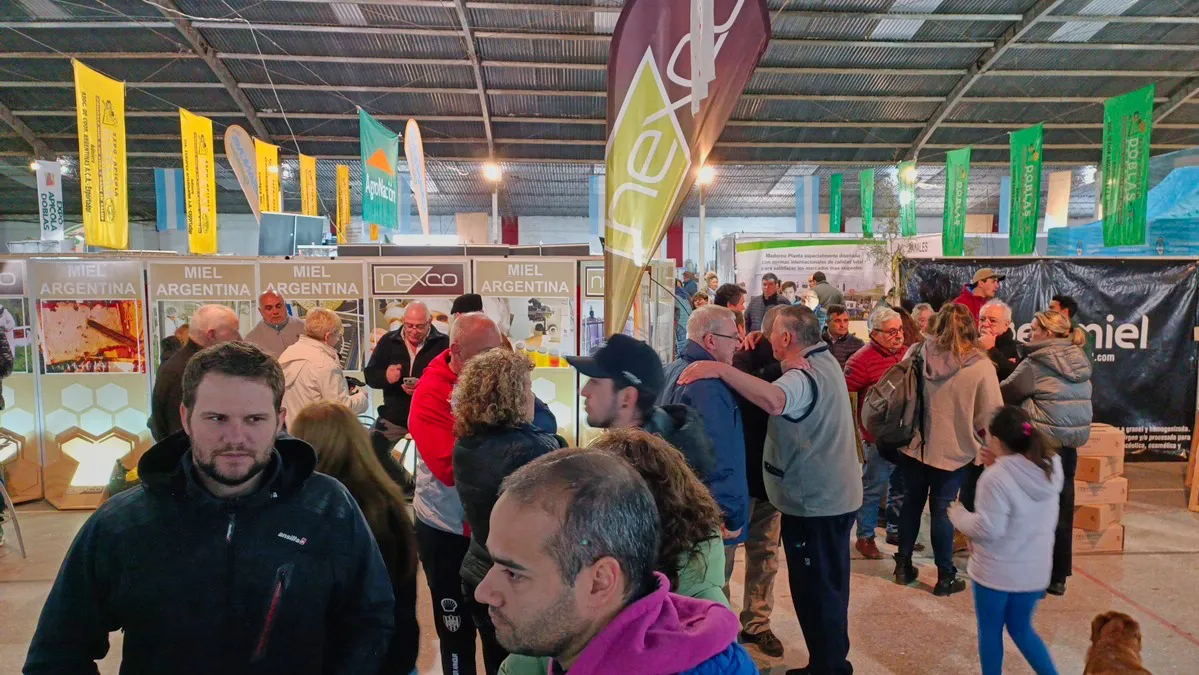 285504_whatsapp-image-2023-08-19-at-21.03.21