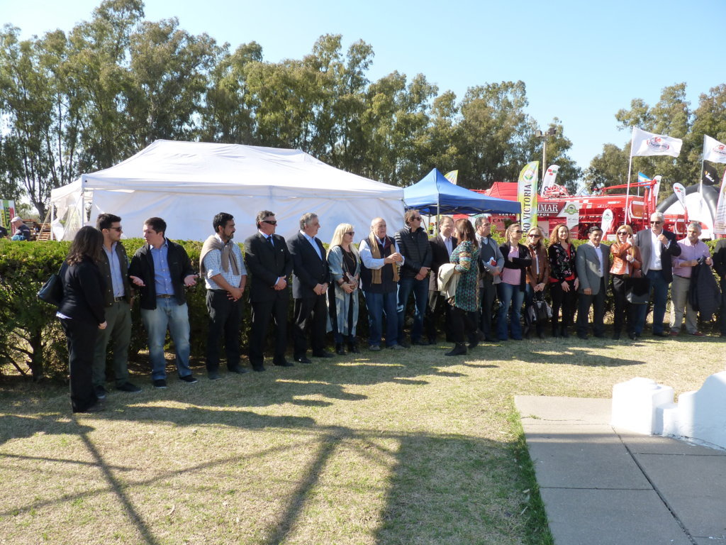 P1270119 (FILEminimizer)