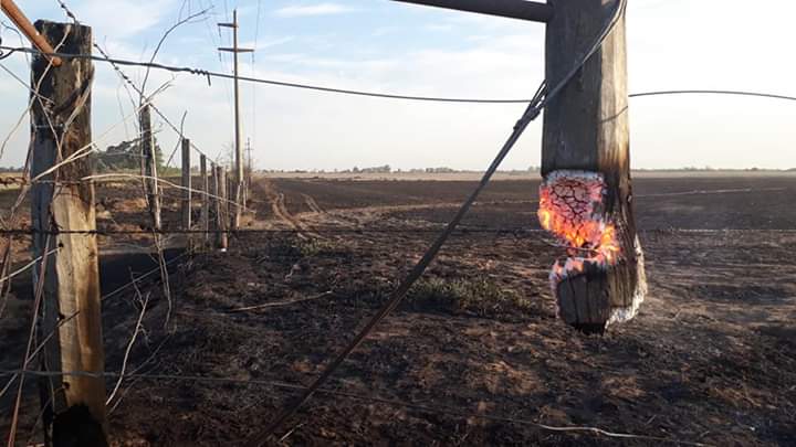 FB_IMG_1569585859751