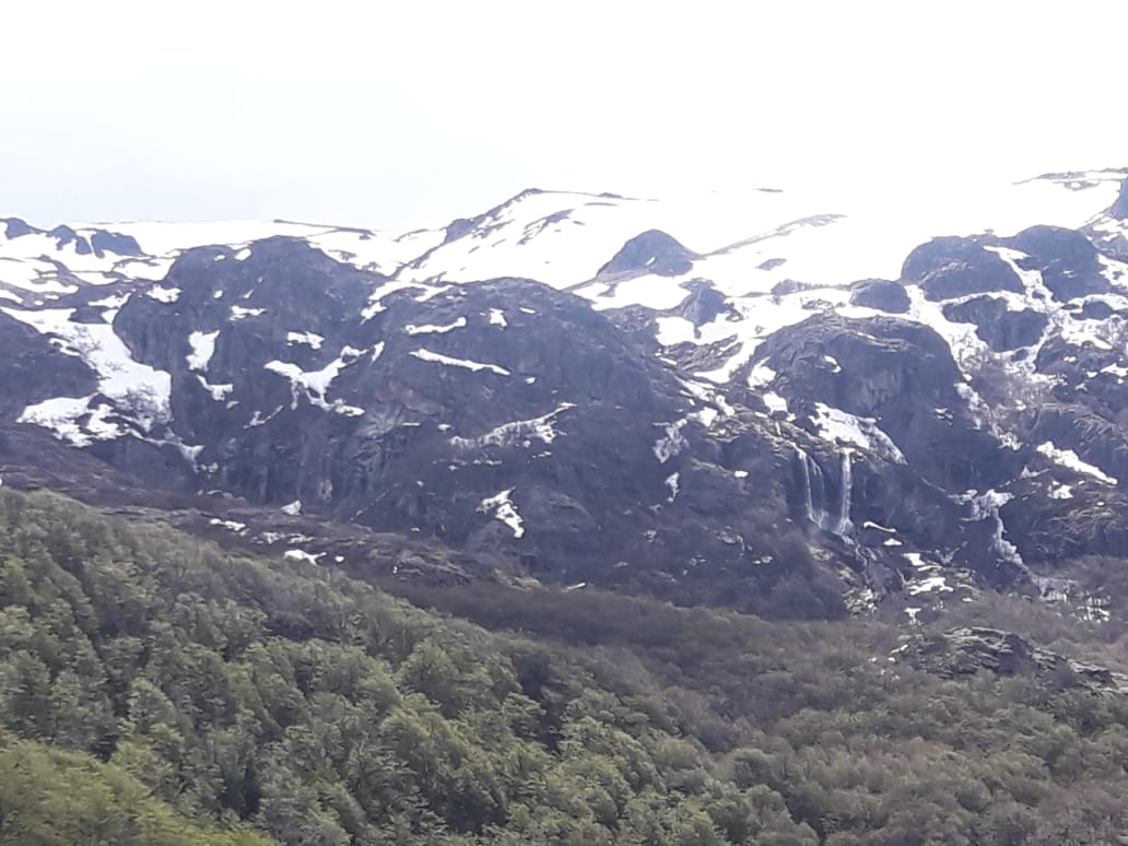 46445983_505146809894663_3148227980203917312_n