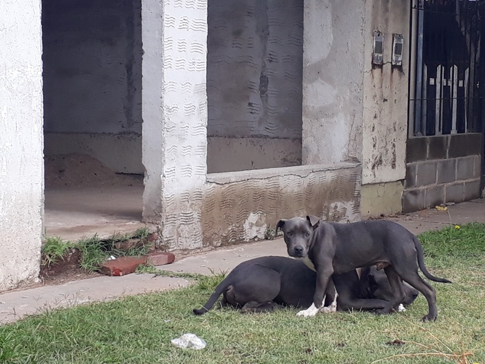 59781714_2105836362849002_4751969279631425536_n