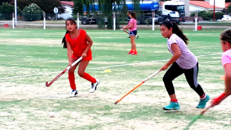 53628806_2338445609500431_7847924222193041408_n