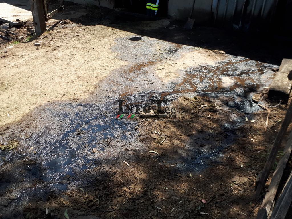 20181218_113353 (FILEminimizer)