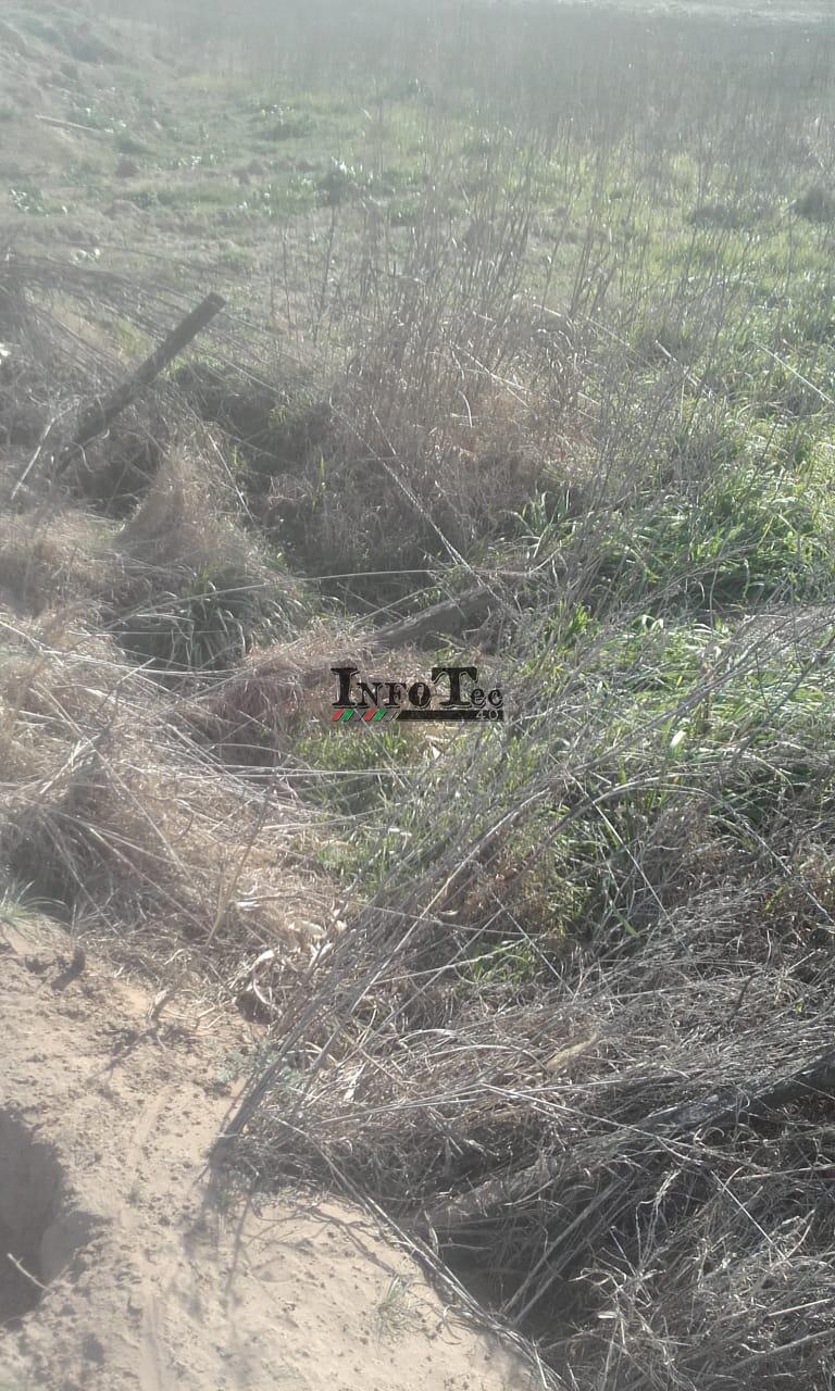 d256b0eb-67da-415f-b269-3f4e9a2c21c9