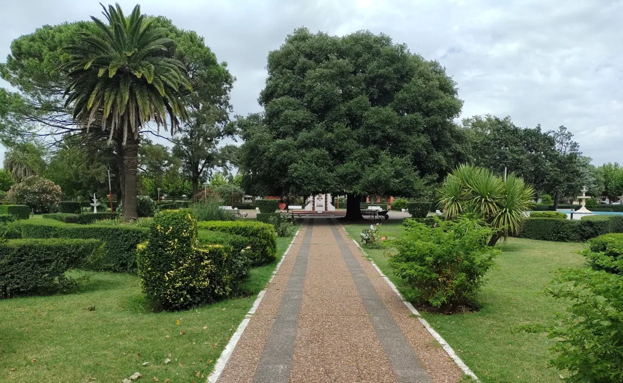 4 plaza alta italia (FILEminimizer)