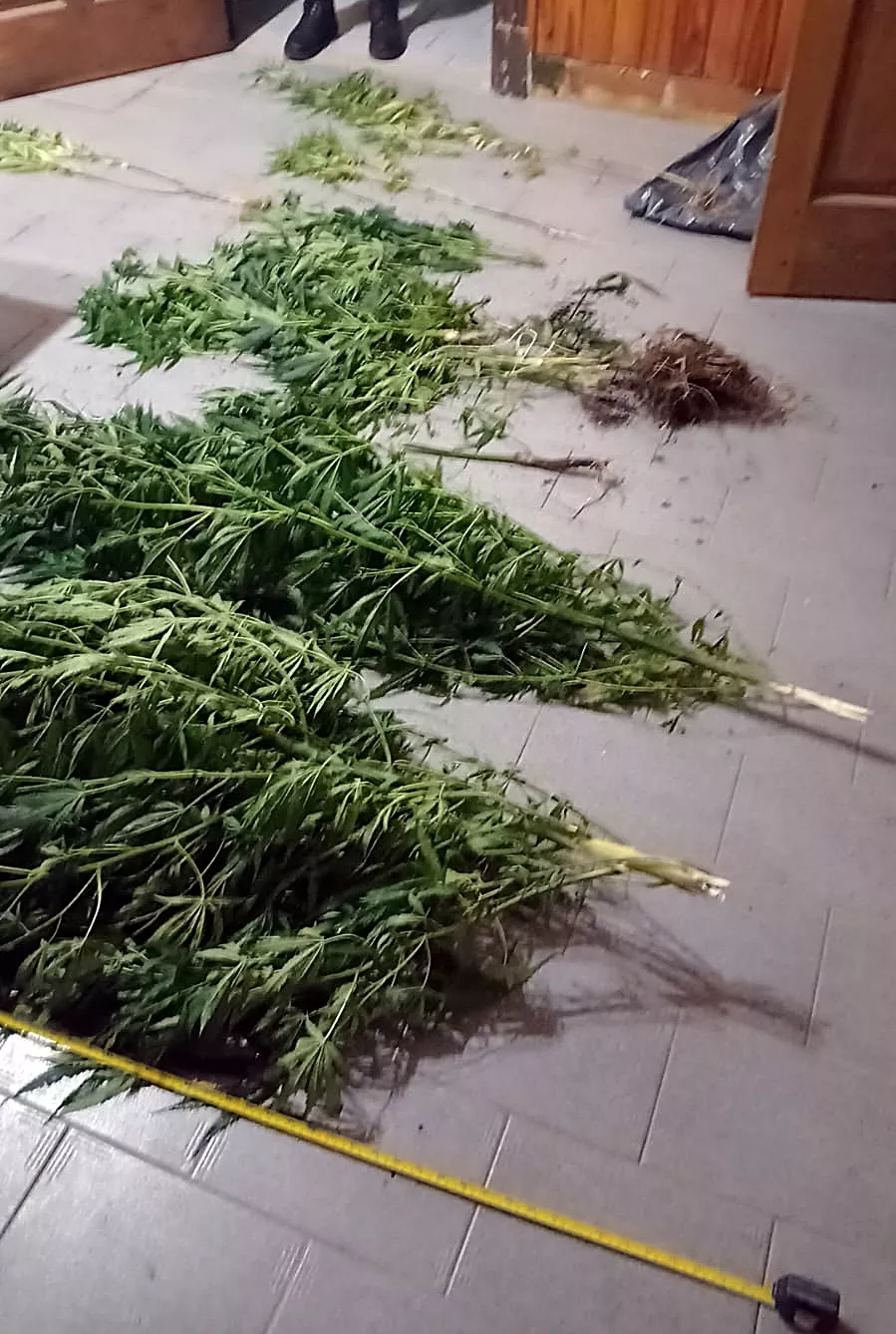 74a4a311-ebd9-484e-a5f5-bf893e4a62c3