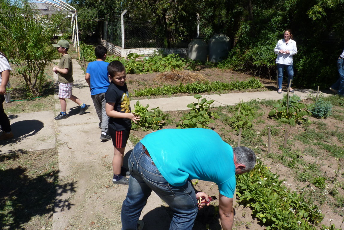 P1450120 (FILEminimizer)