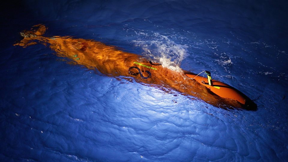 46395270_10215386146080212_4077628662193586176_n